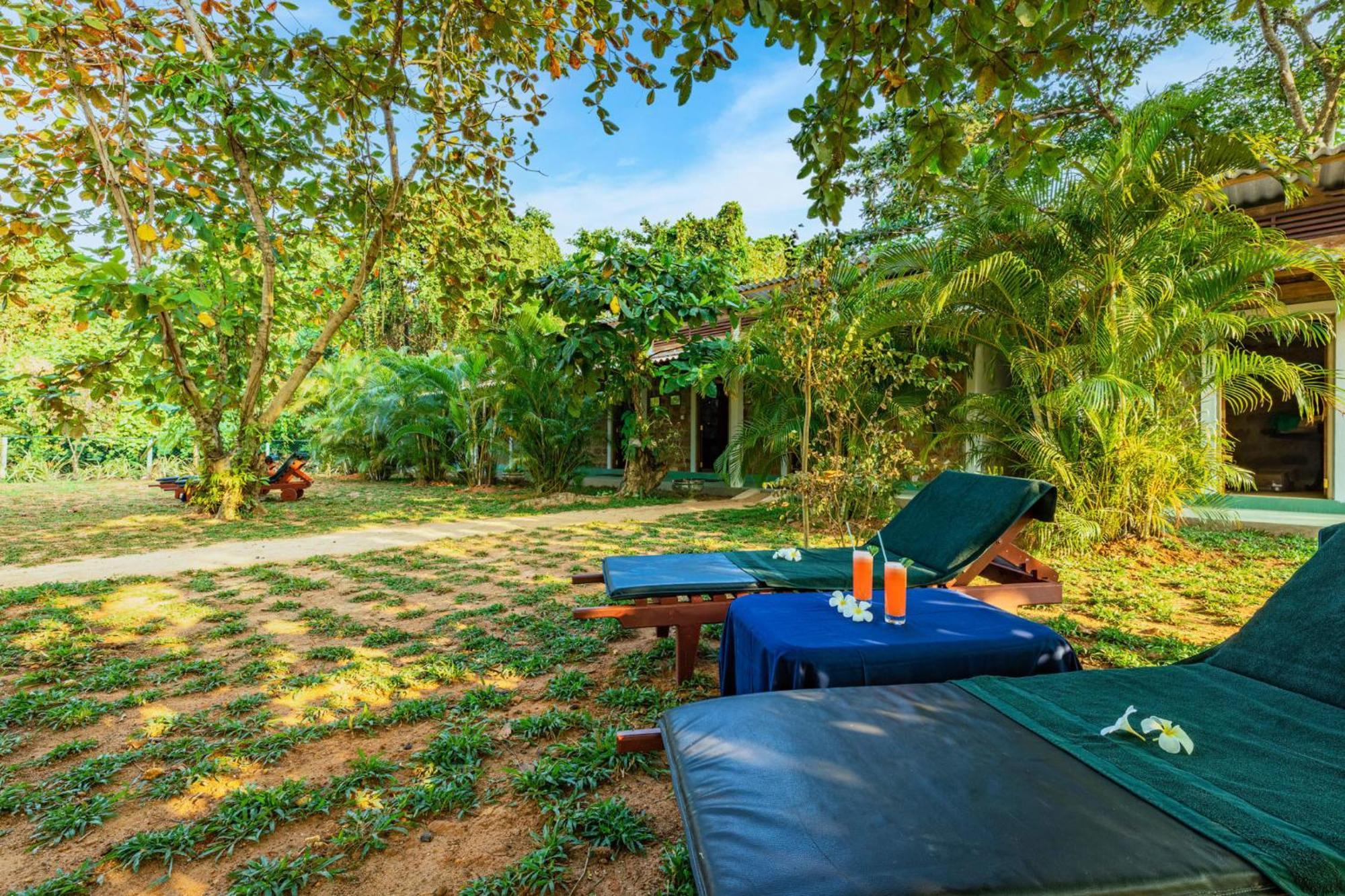 Sath Villa Naadi Ayurveda Resort Moragalla Exterior photo
